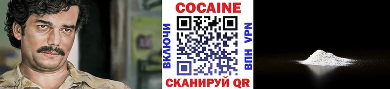 COCAIN Fish Scale  ссылка на мегу как зайти  Западная Двина 