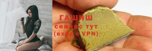 гидра Богородск