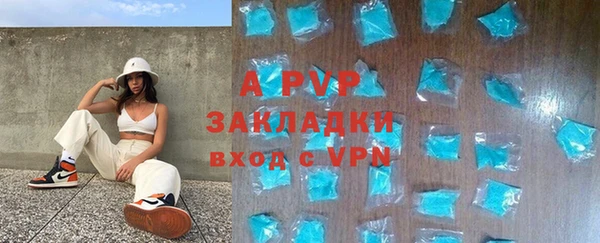 СК Бронницы