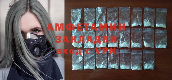 гидра Богородск