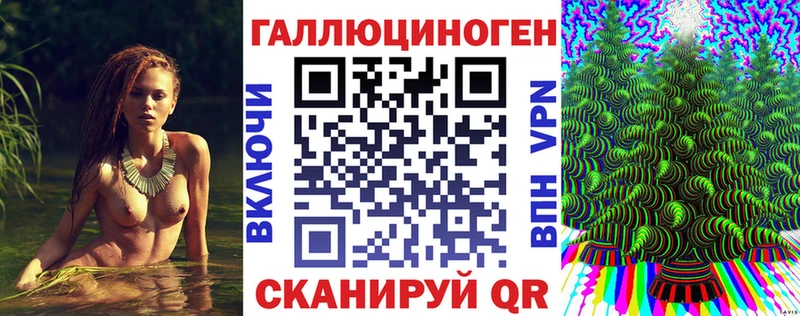 Галлюциногенные грибы GOLDEN TEACHER  кракен как зайти  Западная Двина  купить наркотики цена 